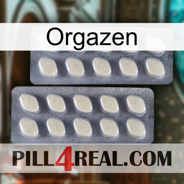 Orgazen 07.jpg